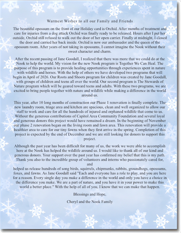 2025 Nottingham holiday letter