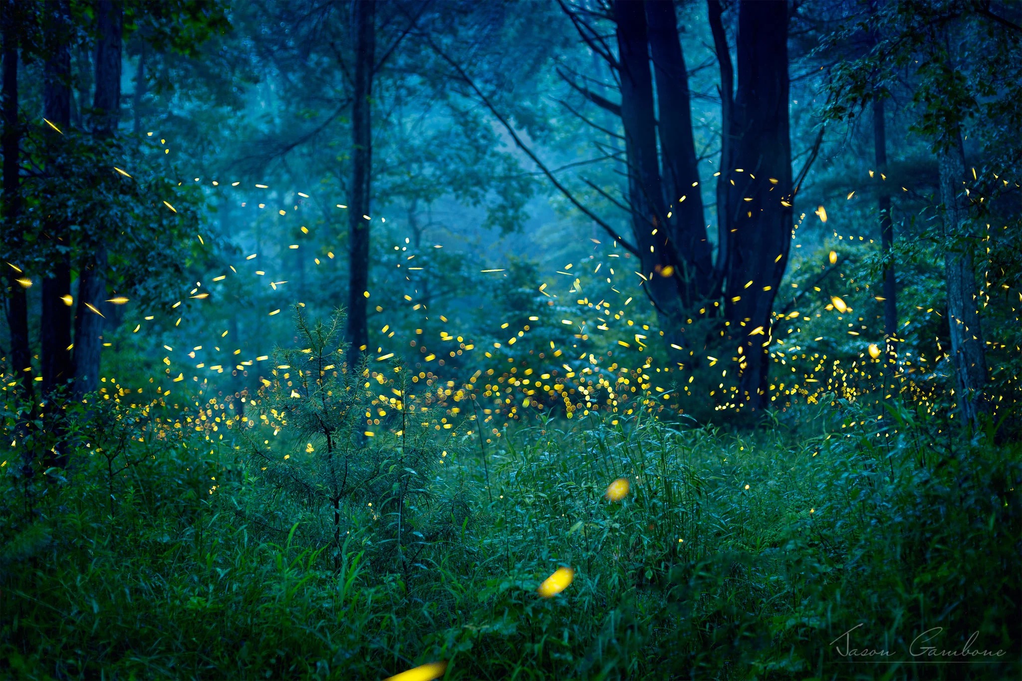 Nottingham Nature Nook July blog image Nottingham Nature Nook July blog image